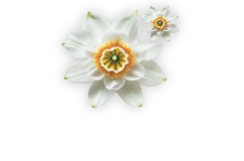 White Deffodils Training & Consultancy